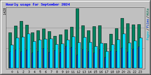 Hourly usage for September 2024