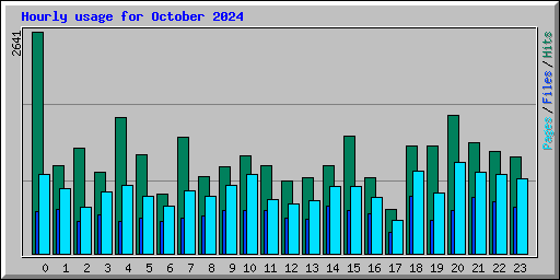 Hourly usage for October 2024