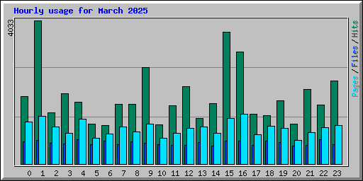 Hourly usage for March 2025
